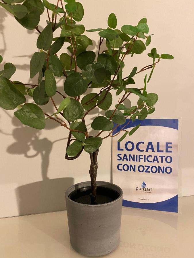 Appartamento Valeriana 두비노 외부 사진